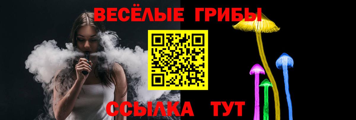 Галлюциногенные грибы GOLDEN TEACHER Тара
